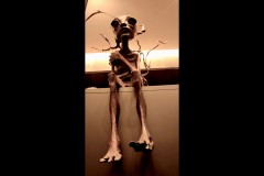 The Outsiders Exhibition - Sandrew Collection (Doni Baz ©)