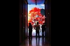 The Outsiders Exhibition - Sandrew Collection (Doni Baz ©)