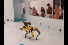 Triennial NGV Exhibition (Paul Palcsek ©)