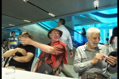 Triennial NGV Exhibition (Bob Clothier ©)