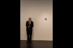 Triennial NGV Exhibition (Alan Scott ©)