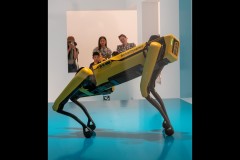 Triennial NGV Exhibition (Jim Weatherill ©)