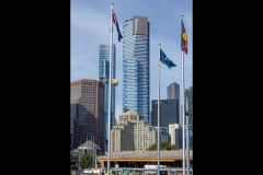 Triennial NGV Exhibition (David Davidson ©)