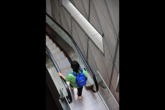 Triennial NGV Exhibition (Terry Noske ©)