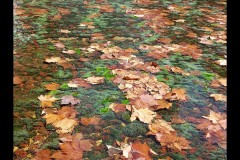 Triennial NGV Exhibition (Paul Palcsek ©)