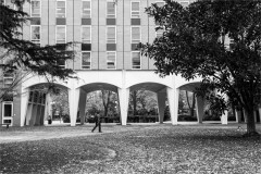 University of Melbourne (Michelle Brasington ©)