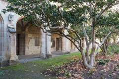 University of Melbourne (David Dyett ©)