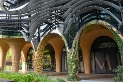 University of Melbourne (Sony Varma ©)