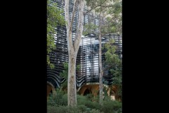 University of Melbourne (David Dyett ©)