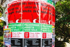 University of Melbourne (Peter Stuchbery ©)