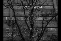 University of Melbourne (Jim Weatherill ©)