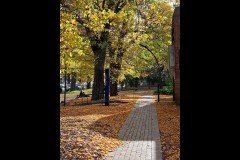 University of Melbourne (Jim O'Donnell ©)