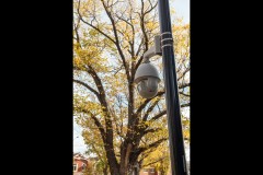 University of Melbourne (David Davidson ©)