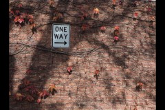 University of Melbourne (Paul Palcsek ©)