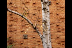 University of Melbourne (Michelle Brasington ©)