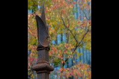 University of Melbourne (Bob Clothier ©)
