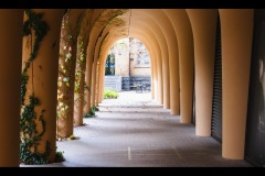 University of Melbourne (Peter Stuchbery ©)