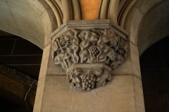 University of Melbourne (Sony Varma ©)