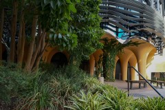 University of Melbourne (Sony Varma ©)