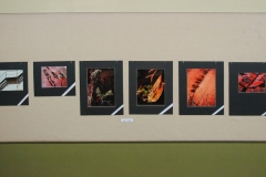 Exhibition: The Photography of Nola & Frank Sharp, A Retrospective Exhibition 2007