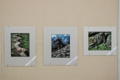 Exhibition: The Photography of Nola & Frank Sharp, A Retrospective Exhibition 2007