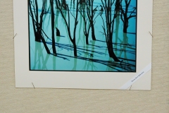 Exhibition: The Photography of Nola & Frank Sharp, A Retrospective Exhibition 2007