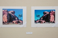 Exhibition: The Photography of Nola & Frank Sharp, A Retrospective Exhibition 2007