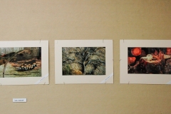 Exhibition: The Photography of Nola & Frank Sharp, A Retrospective Exhibition 2007