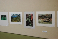 Exhibition: The Photography of Nola & Frank Sharp, A Retrospective Exhibition 2007