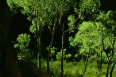 MCC Archives Collection: 28-693 Nola Sharp, Maggie Springs