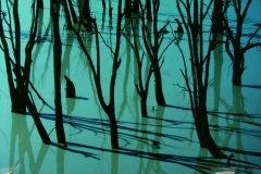 MCC Archives Collection: 28-697 Nola Sharp Murray River Reflections