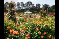 Werribee Mansion (Jim Weatherill ©)