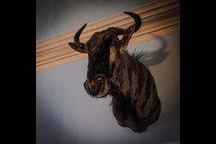 Werribee Mansion (Vitas Anderson ©)