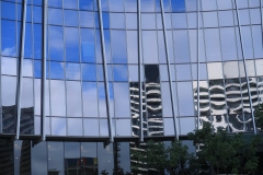 Williamstown Ferry Trip (Terry Noske ©)