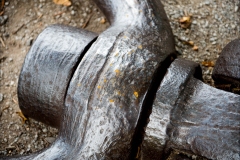 Williamstown Ferry Trip (Michael Brown ©)