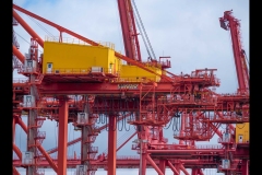 Williamstown Ferry Trip (Nicole Andrews ©)