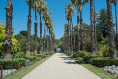 Williamstown Ferry Trip (David Dyett ©)