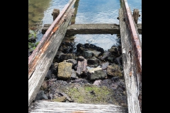 Williamstown Ferry Trip (Michael Brown ©)