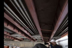 Duck! - Williamstown Ferry Trip (Paul Palcsek ©)