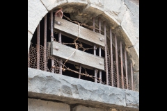 Williamstown Ferry Trip (Michael Brown ©)
