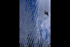 Williamstown Ferry Trip (Terry Noske ©)