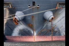 Take a Bow - Williamstown Ferry Trip (Marg Huxtable ©)