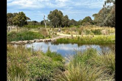 Yalukit Willam Nature Reserve (Simon Beaven ©)