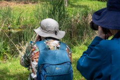 Yalukit Willam Nature Reserve (Jim Weatherill ©)