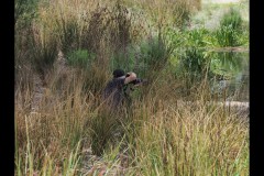 Yalukit Willam Nature Reserve (Paul Palcsek ©)