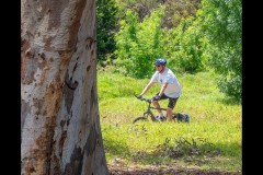 Yalukit Willam Nature Reserve (Jim Weatherill ©)