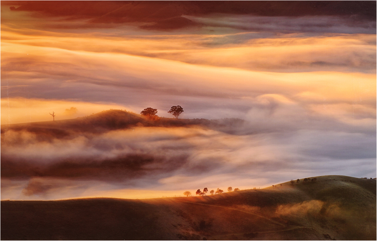 Melbourne Camera Club