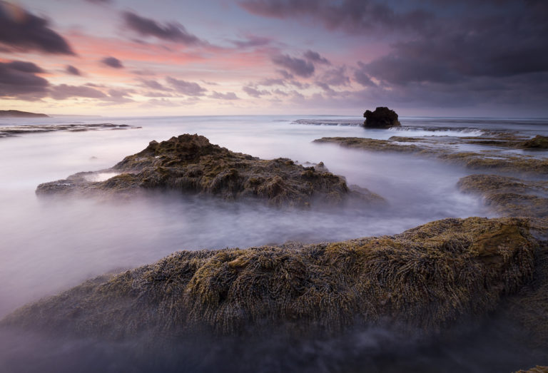 Melbourne Camera Club