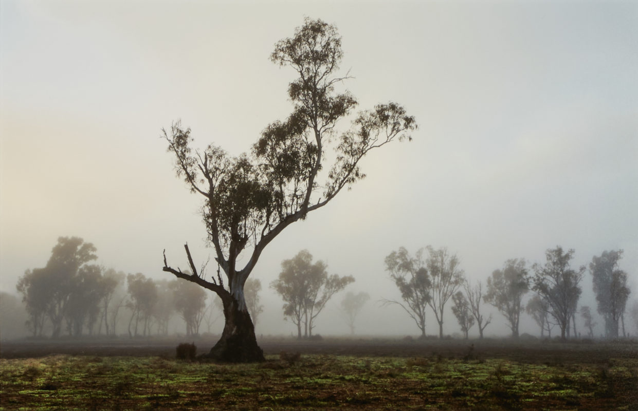 Melbourne Camera Club