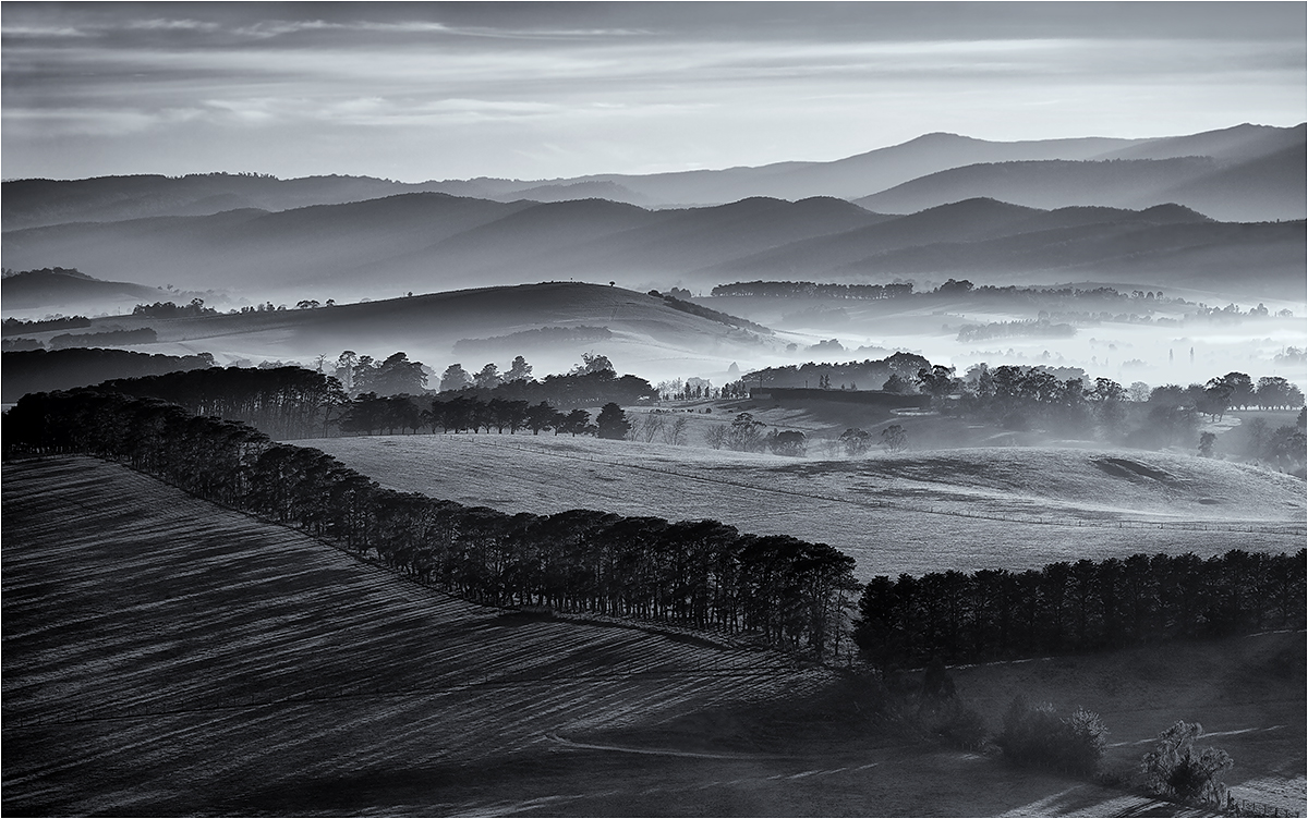 Melbourne Camera Club